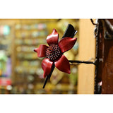 Pinza Flor de Estrella