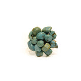 Anillo Stone