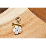 Anillo Giro