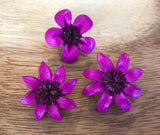 Broches fucsia