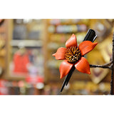Pinza Flor de Estrella