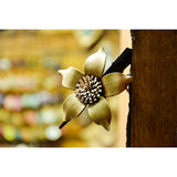 Pinza Flor de Estrella