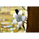 Pinza Flor de Estrella