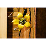 Pinza Flor de Estrella